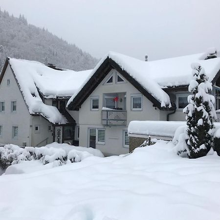 Ferienwohnung Ella, 95Qm, Terrasse 托特瑙 外观 照片